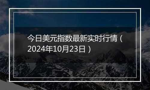 今日美元指数最新实时行情（2024年10月23日）