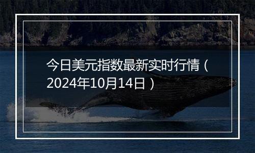 今日美元指数最新实时行情（2024年10月14日）