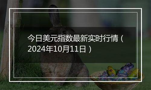 今日美元指数最新实时行情（2024年10月11日）