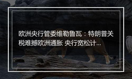 欧洲央行管委维勒鲁瓦:特朗普关税难撼欧洲通胀 央行宽松计划不变