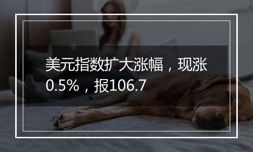 美元指数扩大涨幅，现涨0.5%，报106.7