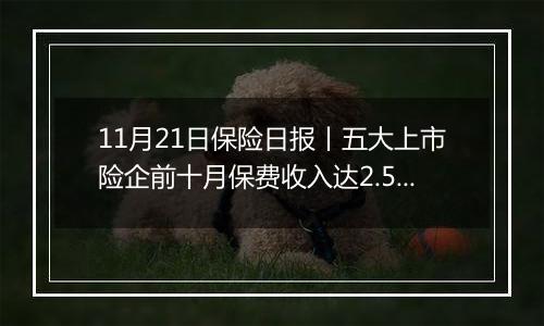 11月21日保险日报丨五大上市险企前十月保费收入达2.52万亿元!保险代理人奋战“开门红”