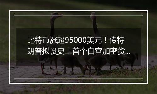 比特币涨超95000美元!传特朗普拟设史上首个白宫加密货币职位