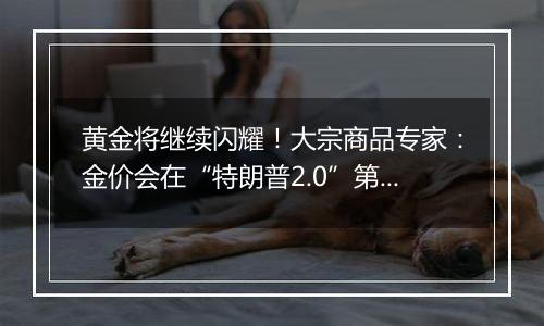 黄金将继续闪耀!大宗商品专家:金价会在“特朗普2.0”第一年屡创新高!