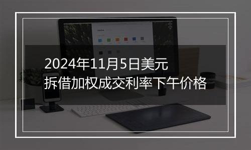 2024年11月5日美元拆借加权成交利率下午价格
