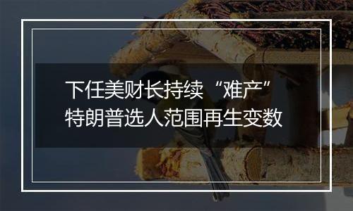 下任美财长持续“难产” 特朗普选人范围再生变数