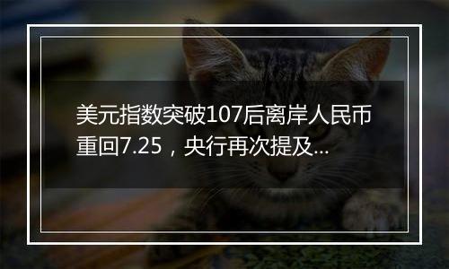 美元指数突破107后离岸人民币重回7.25,央行再次提及汇率弹性
