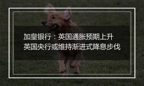 加皇银行:英国通胀预期上升 英国央行或维持渐进式降息步伐