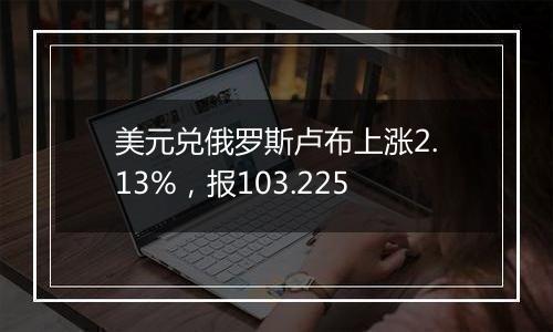 美元兑俄罗斯卢布上涨2.13%,报103.225