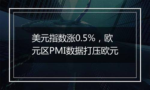 美元指数涨0.5%,欧元区PMI数据打压欧元