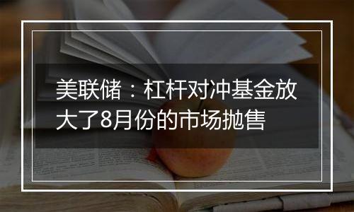 美联储:杠杆对冲基金放大了8月份的市场抛售