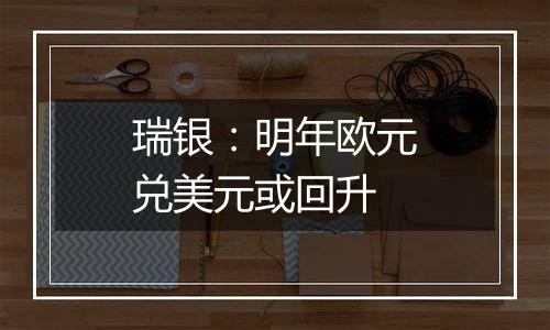瑞银:明年欧元兑美元或回升