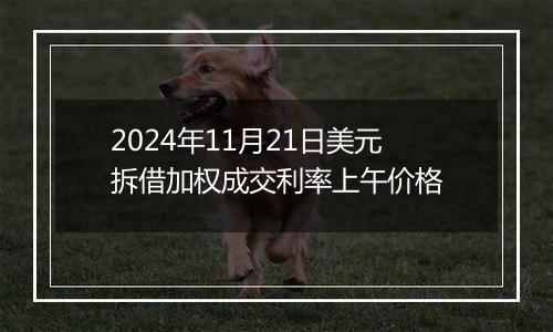 2024年11月21日美元拆借加权成交利率上午价格