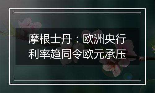 摩根士丹：欧洲央行利率趋同令欧元承压