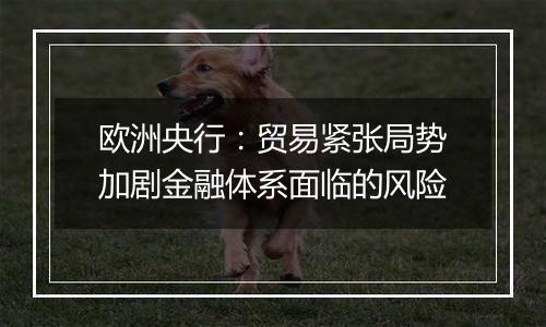 欧洲央行:贸易紧张局势加剧金融体系面临的风险