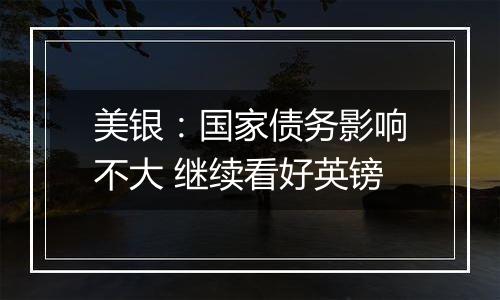 美银:国家债务影响不大 继续看好英镑