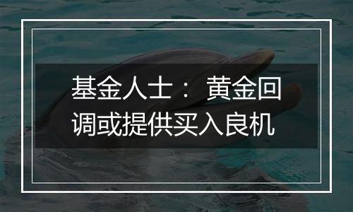 基金人士: 黄金回调或提供买入良机