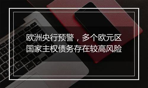 欧洲央行预警,多个欧元区国家主权债务存在较高风险