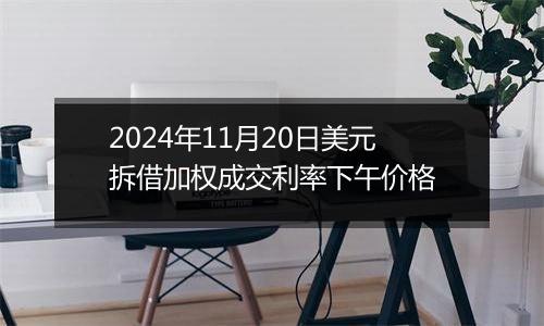 2024年11月20日美元拆借加权成交利率下午价格