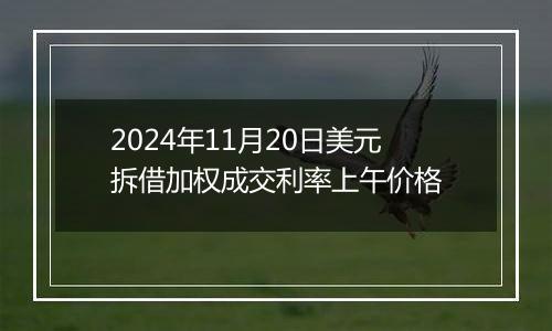 2024年11月20日美元拆借加权成交利率上午价格