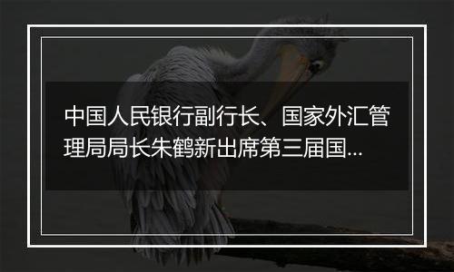 中国人民银行副行长、国家外汇管理局局长朱鹤新出席第三届国际金融领袖投资峰会