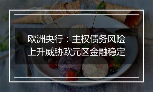 欧洲央行:主权债务风险上升威胁欧元区金融稳定