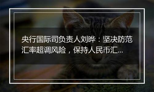 央行国际司负责人刘晔:坚决防范汇率超调风险,保持人民币汇率在合理均衡水平上的基本稳定