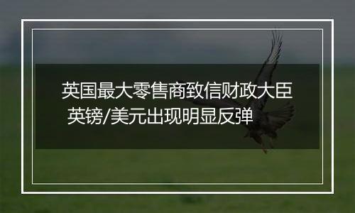 英国最大零售商致信财政大臣 英镑/美元出现明显反弹