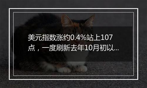 美元指数涨约0.4%站上107点,一度刷新去年10月初以来最高位