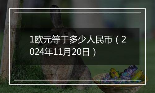 1欧元等于多少人民币(2024年11月20日)