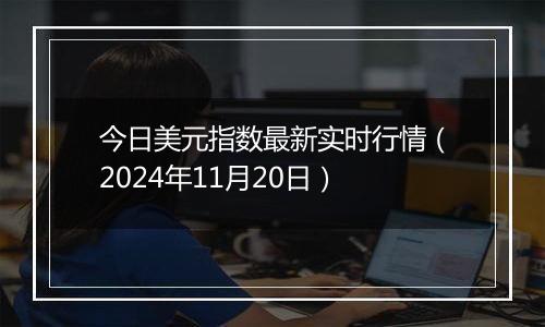 今日美元指数最新实时行情（2024年11月20日）