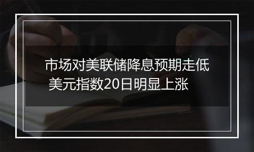 市场对美联储降息预期走低 美元指数20日明显上涨