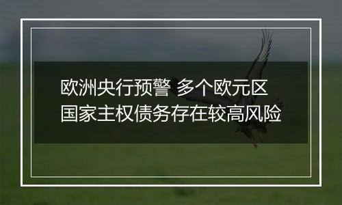 欧洲央行预警 多个欧元区国家主权债务存在较高风险