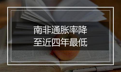 南非通胀率降至近四年最低