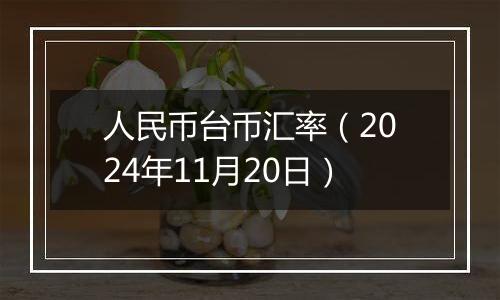 人民币台币汇率(2024年11月20日)