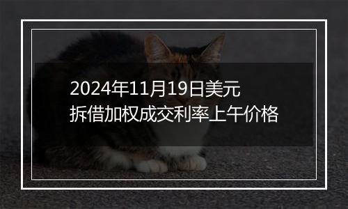 2024年11月19日美元拆借加权成交利率上午价格
