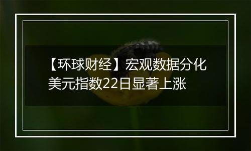 【环球财经】宏观数据分化 美元指数22日显著上涨