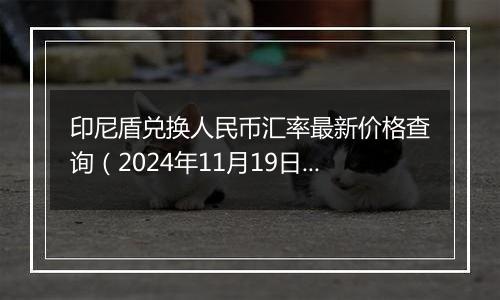 印尼盾兑换人民币汇率最新价格查询(2024年11月19日)