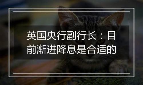 英国央行副行长：目前渐进降息是合适的