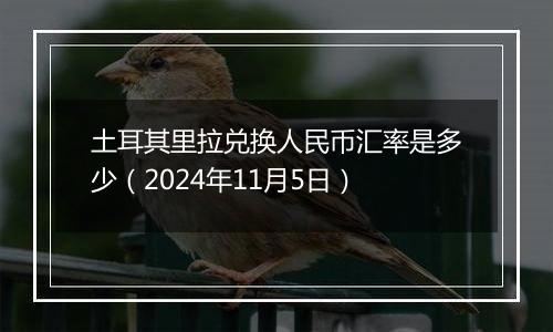 土耳其里拉兑换人民币汇率是多少(2024年11月5日)
