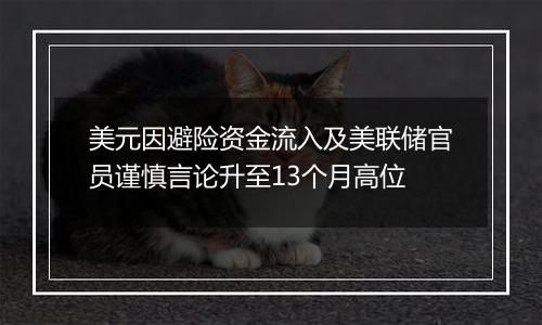 美元因避险资金流入及美联储官员谨慎言论升至13个月高位