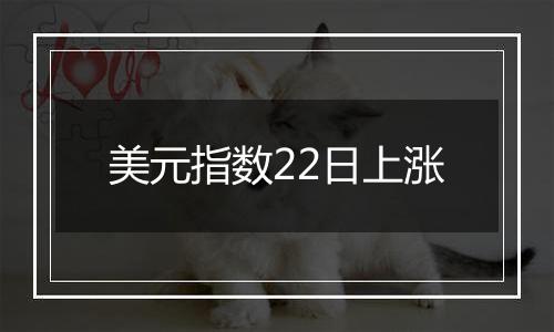 美元指数22日上涨