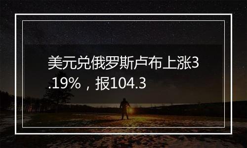 美元兑俄罗斯卢布上涨3.19%,报104.3