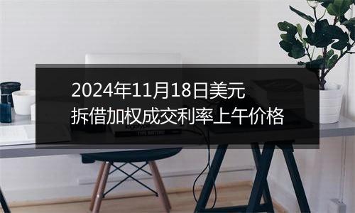 2024年11月18日美元拆借加权成交利率上午价格