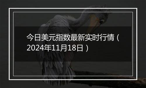 今日美元指数最新实时行情（2024年11月18日）