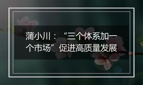 蒲小川:“三个体系加一个市场”促进高质量发展