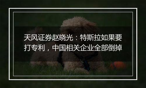 天风证券赵晓光:特斯拉如果要打专利,中国相关企业全部倒掉