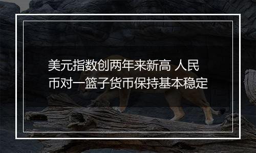 美元指数创两年来新高 人民币对一篮子货币保持基本稳定