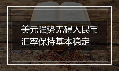 美元强势无碍人民币汇率保持基本稳定