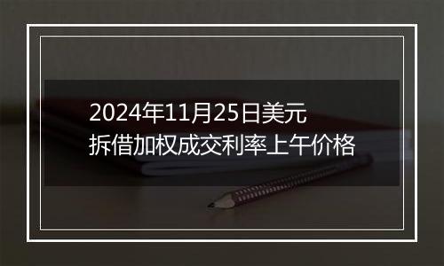 2024年11月25日美元拆借加权成交利率上午价格